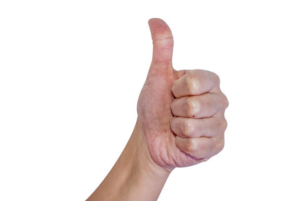 Hand with thumb up isolated on white background. Positive gesture.