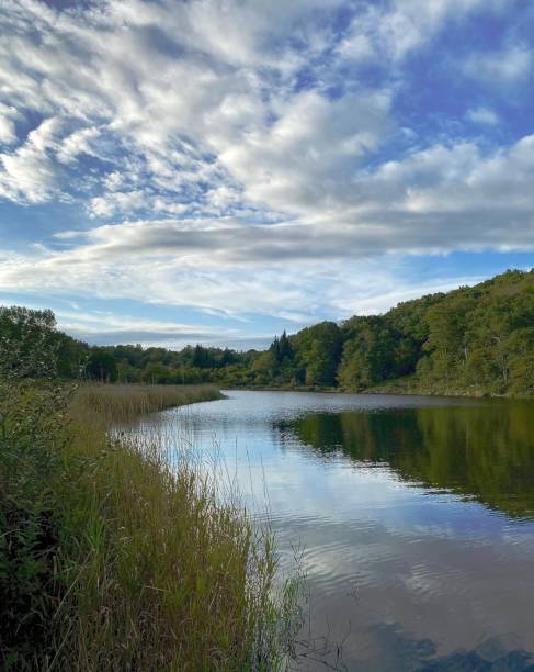 istock Calm lake or pond in a low hillside with dramatic blue sky and clouds 1315290381
