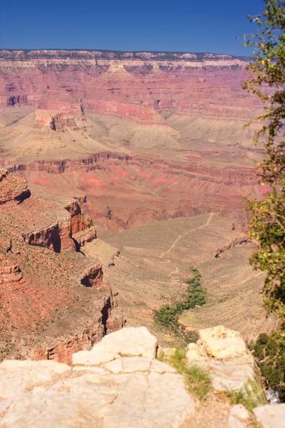 landschaft des grand canyon nationalparks in utah, usa - majestic awe canyon national park stock-fotos und bilder