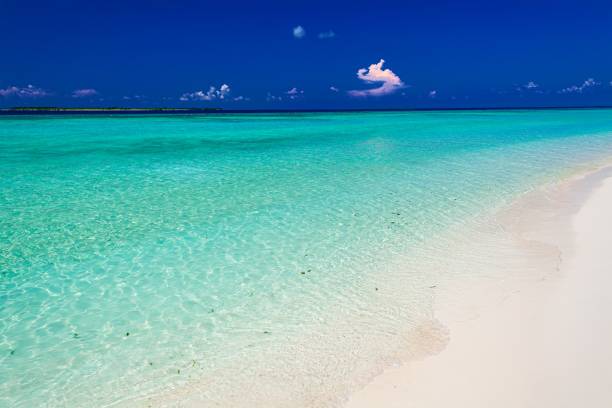 istock Beautiful island scenery in Maldives 1315293706