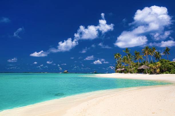istock Beautiful island scenery in Maldives 1315293708