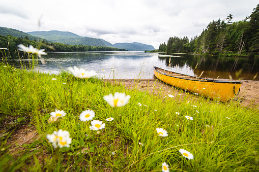 Canoe on a beach with a meadow with wildflowers and tall grass in the foreground with a boat next to a lake in summer with clouds in the sky