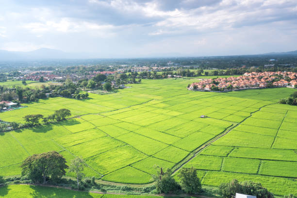 Land or landscape of green field in aerial view in Chiang Mai of Thailand. Land or landscape of green field in aerial view. Include agriculture farm, house building in village. That real estate or property. Plot of land for housing subdivision, development, owned, sale, rent, buy or investment in Chiang Mai of Thailand. conspiracy stock pictures, royalty-free photos & images