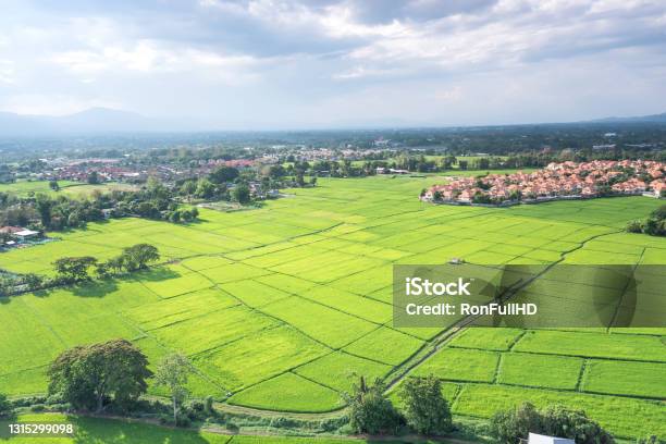 Land Or Landscape Of Green Field In Aerial View In Chiang Mai Of Thailand Stock Photo - Download Image Now