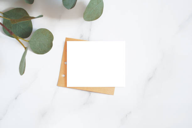 istock mockup with artificial branch with sheets of paper on marble backdrop 1315303945