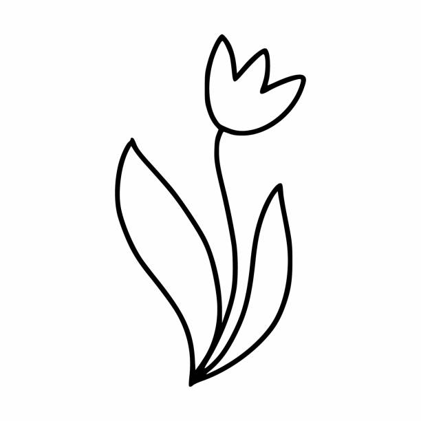 Tulipanes Para Colorear - Banco de fotos e imágenes de stock - iStock Tulipanes Para Colorear - Banco de fotos e imágenes de stock - iStock