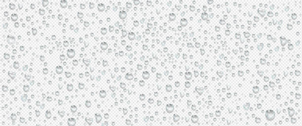 Condensation water drops on transparent background Condensation water drops on transparent background. Rain droplets with light reflection on window or glass surface, abstract wet texture, pure aqua blobs pattern, Realistic 3d vector illustration bead stock illustrations