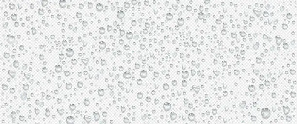 Vector illustration of Condensation water drops on transparent background