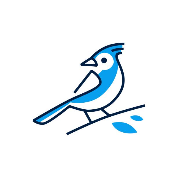 blue jay bird vector icon illustration blue jay bird vector icon illustration jay stock illustrations