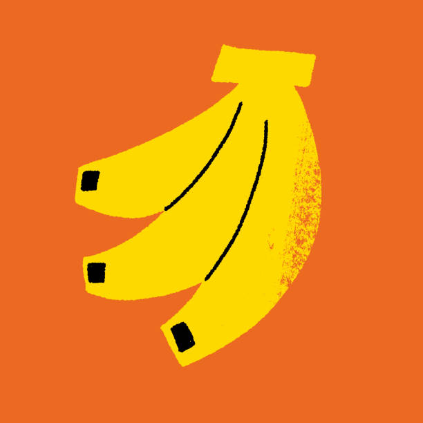 illustrations, cliparts, dessins animés et icônes de banane délicieuse - banane fruit exotique