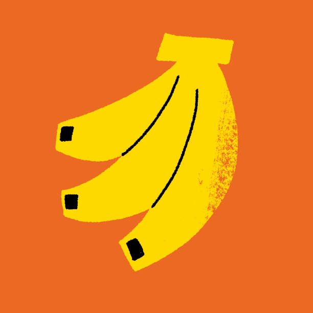 Delicious banana Hand-Drawn banana drawings stock illustrations
