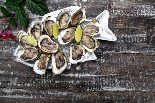 istock Tasty oysters on ice with lemon. 1315317187