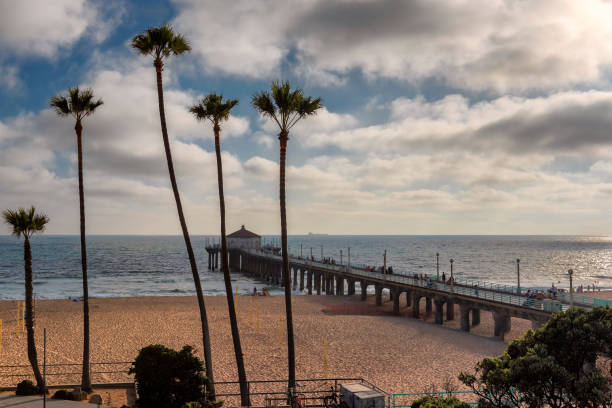 istock Palm trees at Sunset in California Beach 1315319993