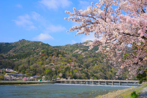 istock Togetsukyo Bridge, Arashiyama, Kyoto Pref., Japan 1315327021