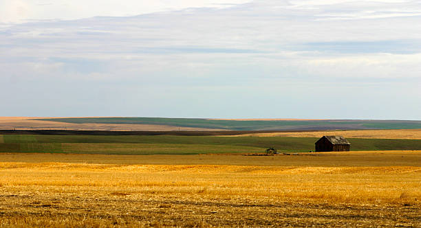 istock Montana farmland 131532888