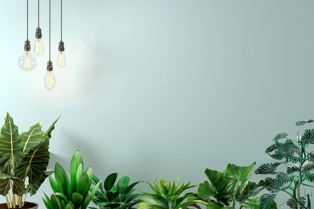 istock 3d render of mock wall with home plants 1315330231