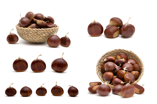 Beautiful Set of fresh raw sweet chestnuts(Castanea sativa) isolated on a white background