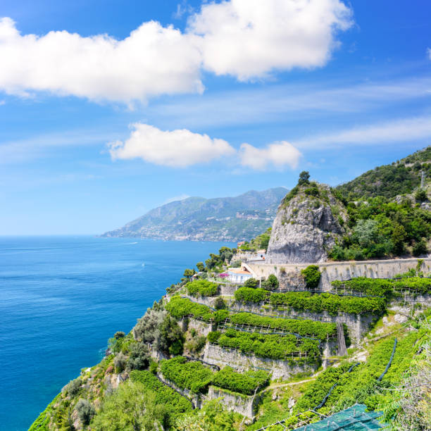 istock Road on Amalfi Coast, Italy 1315330463