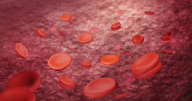 3d renderizando glóbulos vermelhos na veia. macro fluindo glóbulos vermelhos fluindo através da artéria. - human blood vessel human cardiovascular system cell blood cell - fotografias e filmes do acervo