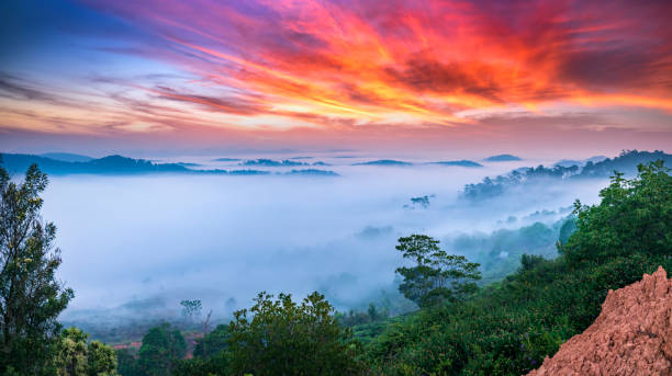 Dawn on plateau in morning covered by fog below, landscape so beautiful idyllic countryside Da Lat plateau, Vietnam