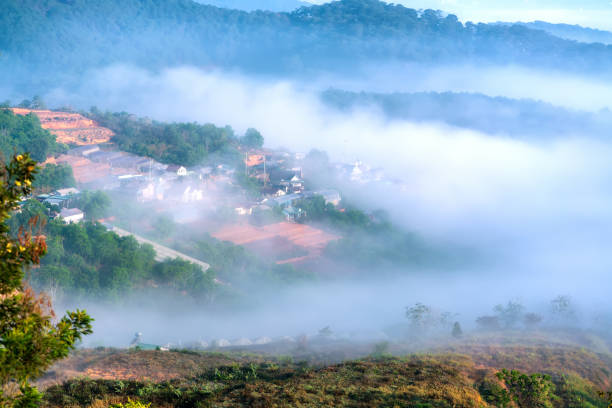 istock The morning scenery on the hillside in the misty 1315333027