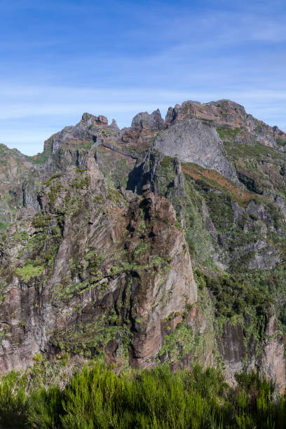 istock Madeira Island, Portugal 1315333922