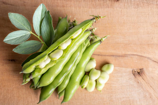 habas orgánicas y saludables en la tabla de cortar - fava bean fotografías e imágenes de stock