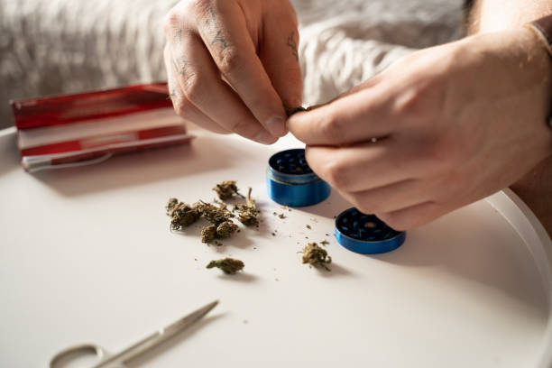istock Man chopping marijuana buds before the rolling a hand rolled cigarette at the table 1315338410
