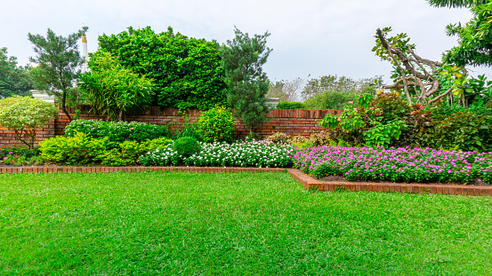 The early spring flowers create a stunning  background display of colors.