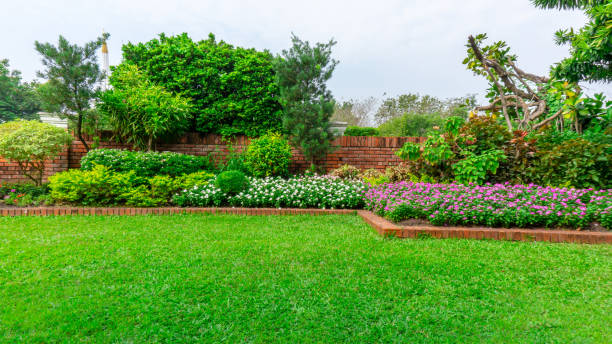 Beautiful English cottage garden, colorful flowering plant on smooth green grass lawn and group of evergreen trees in good care maintenance landscaping of a public park under white sky Beautiful English cottage garden, colorful flowering plant on smooth green grass lawn and group of evergreen trees in good care maintenance landscaping of a public park under white sky turf photos stock pictures, royalty-free photos & images