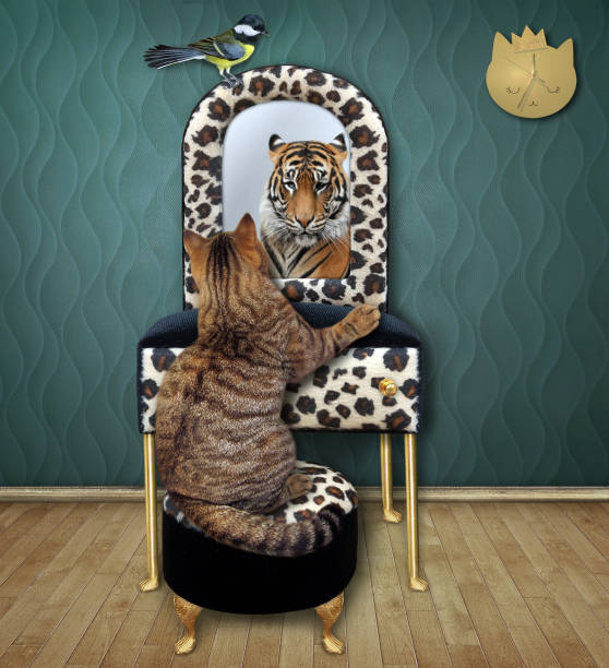 istock Cat beige sees tiger in mirror 2 1315348608