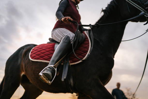 istock Young woman training horse riding technique with instructor at sunset 1315352413