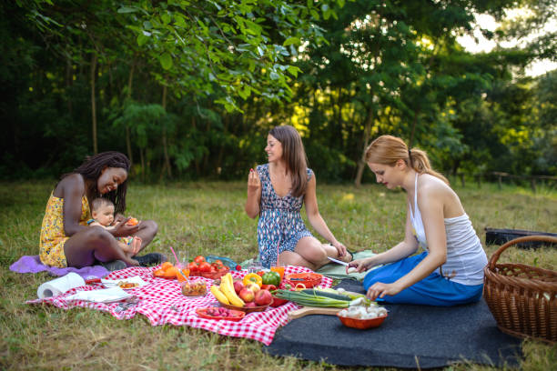 mangiare vegano sano in natura - picnic family barbecue social gathering foto e immagini stock