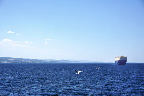 istock Big cargo ship crossing the strait 1315352699