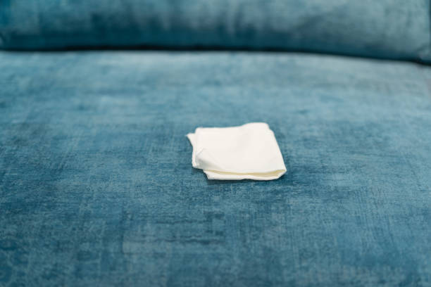 istock Woman cleaning a blue sofa with white cloth. Sofa cleaning. 1315353644