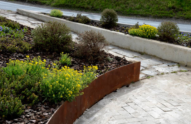 istock the flower bed is bordered by a rusty sheet metal design. 1315356137