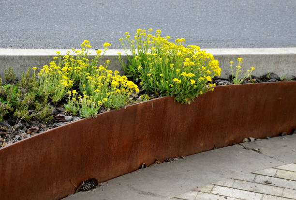 the flower bed is bordered by a rusty sheet metal design. - bordered imagens e fotografias de stock