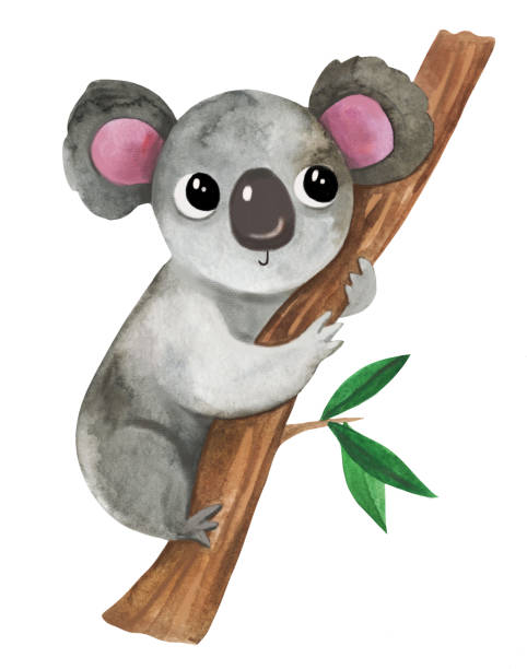 entzückende aquarell baby tier australischen koala auf eukalyptus-baum. - koala australia sydney australia animal stock-grafiken, -clipart, -cartoons und -symbole