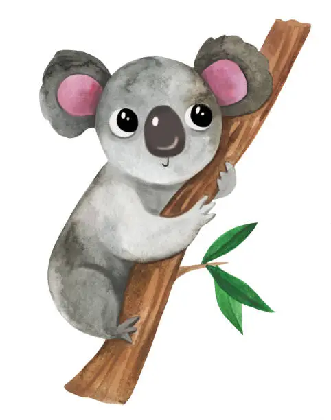 Vector illustration of Adorable watercolor baby animal australian koala on eucalyptus tree.