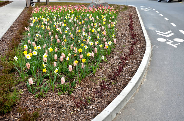 istock on the square with benches and a trash can is a flower bed with bulbs that bloom in dense distance. A bicycle path leads around with a bicycle symbol on the road. gardening takes care of everything 1315358877