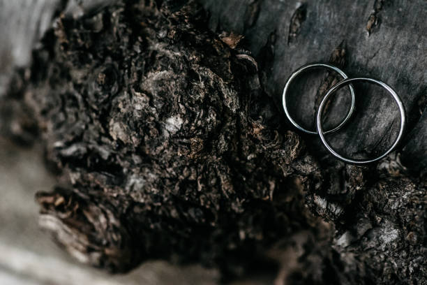 Silver wedding rings lying on a branch