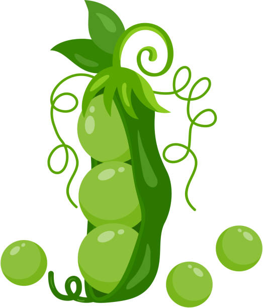frische erbsen und grüne hülse - green pea pea pod vegetable cute stock-grafiken, -clipart, -cartoons und -symbole