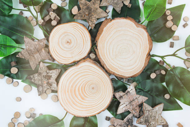 istock Tree trunks decorative with leaves and stars 1315360288