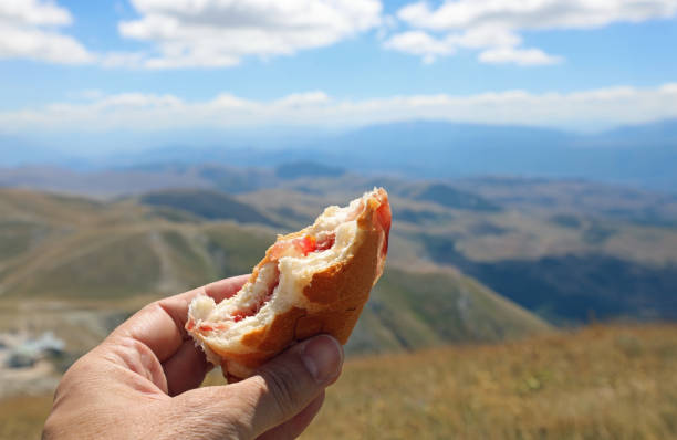 istock eaten chunky sandwich while resting after hiking in the mountains 1315362449