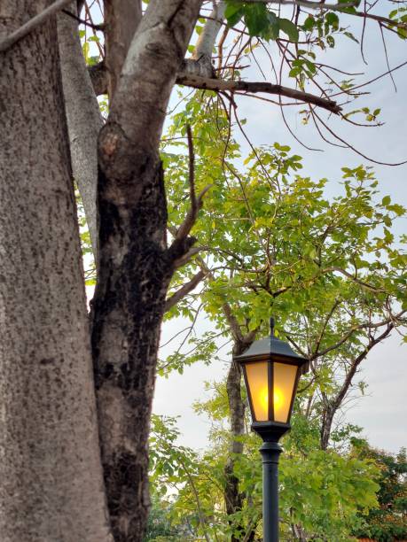 istock street light in garden background 1315365963