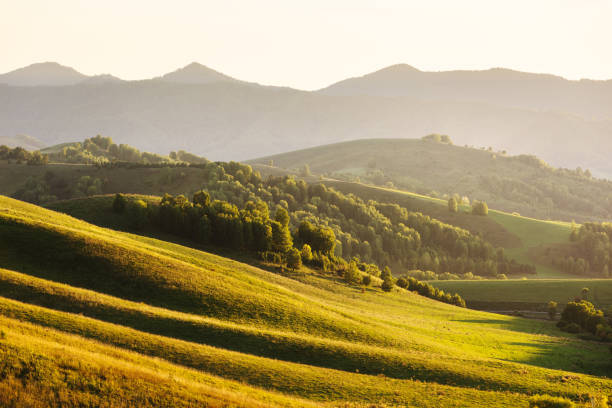 Beautiful sunset landscape. Rolling hills, road and forest