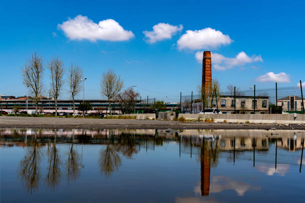 Old style fabric, four trees and their reflections on the pond, toward the cloudy blue sky in Istanbul.