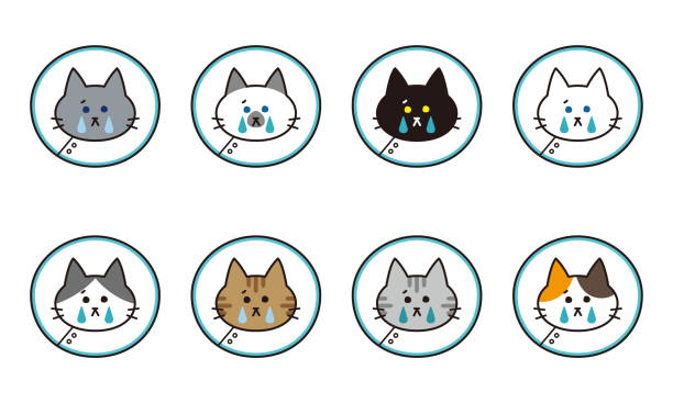 Crying face icon set of various cat breeds wearing Elizabethan collar Crying face icon set of various cat breeds wearing Elizabethan collar. black cat costume stock illustrations