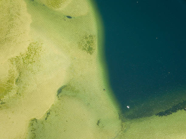 istock Top view of beach lagoon 1315379262