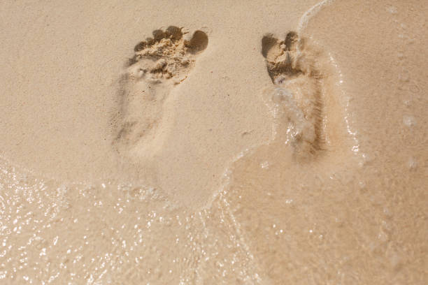 natural texture and background. footprints in the yellow sand on the beach - journey camel travel desert imagens e fotografias de stock